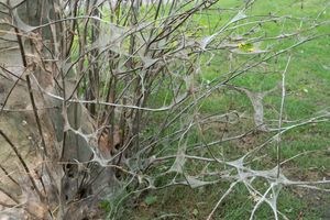 DSC09965 19.44.55.jpg