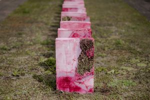 Nest PVJ - Esther Hoogendijk - Joris van den Einden - hires-30.jpg