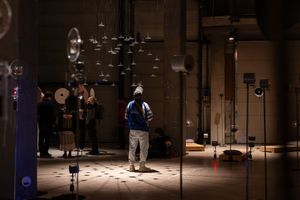 Nest The Singing Parliament - Henk Schut 001.jpg